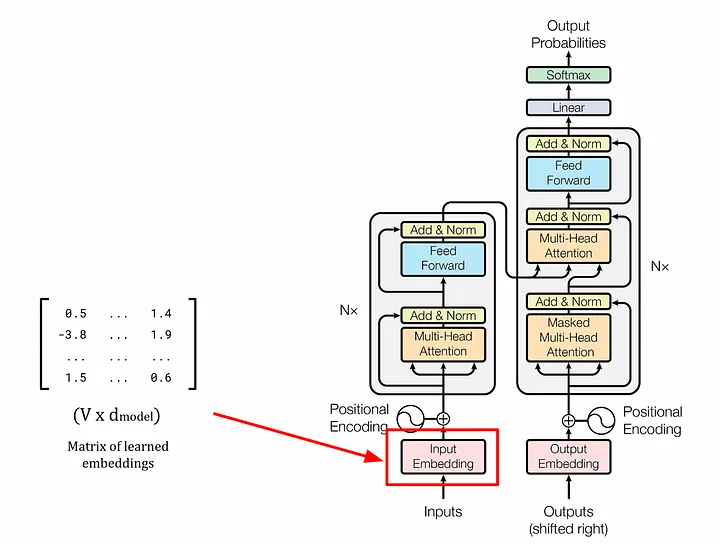 A diagram showing the location of the linear layer in the Transformer architecture, which stores the learned embeddings. Image by author, adapted from the Transformer architecture diagram in the “Attention is All You Need” paper [1].