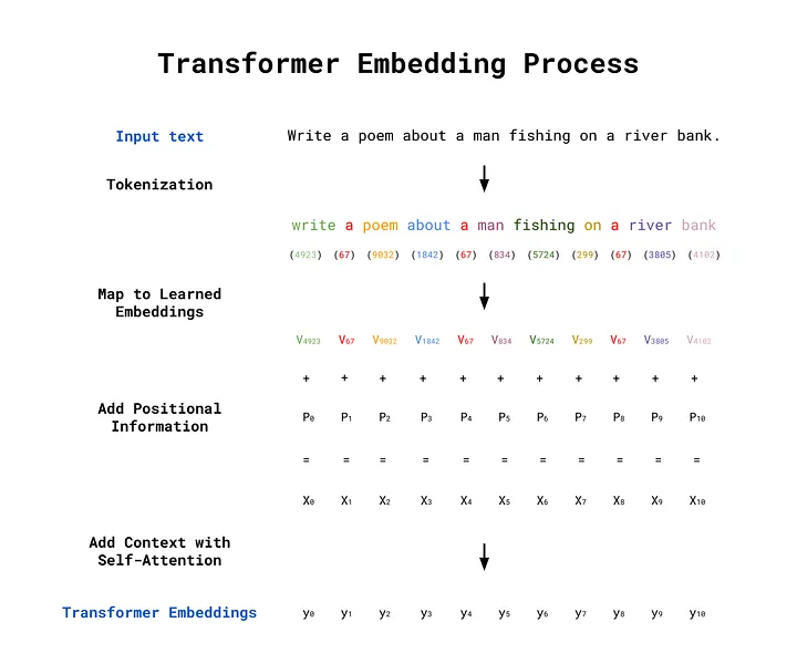 An overview of the transformer embedding process from input text through to transformer embeddings. Image by author.